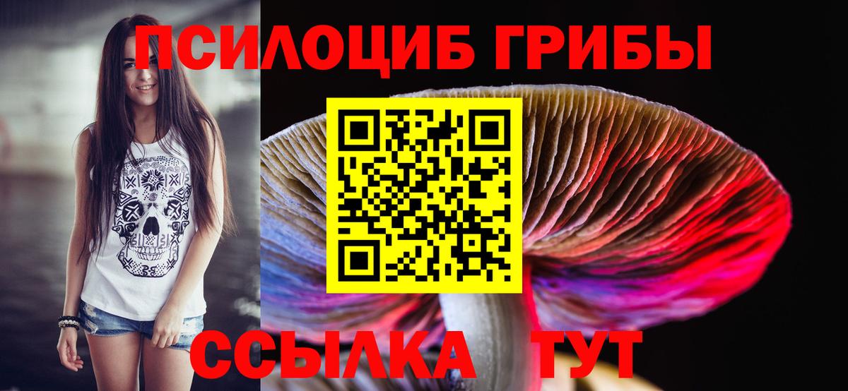 Псилоцибиновые грибы ЛСД Волгодонск