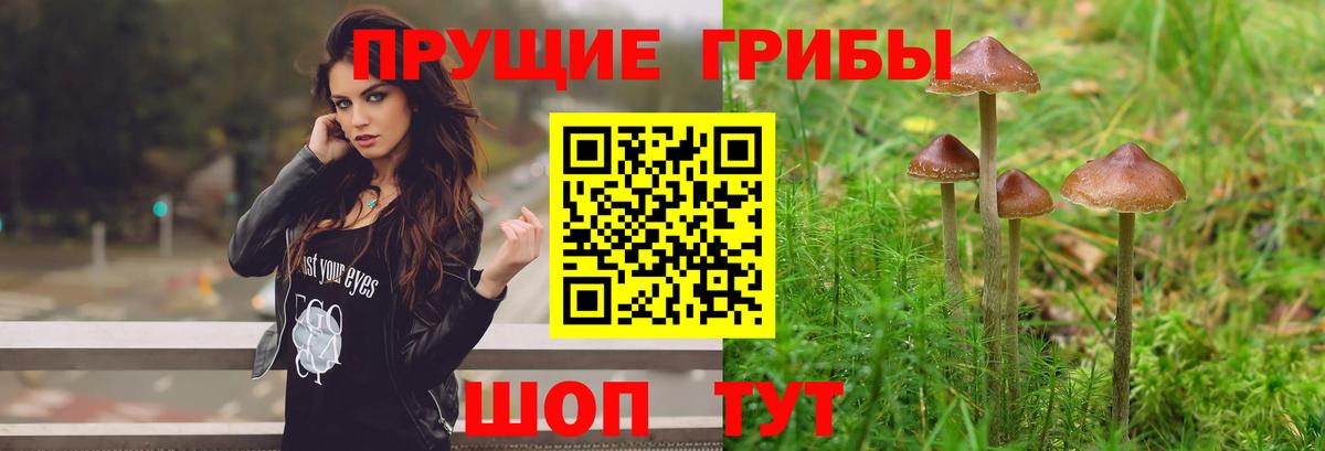 Псилоцибиновые грибы GOLDEN TEACHER  Галлюциногенные грибы мухоморы  Волгодонск  Вход с VPN 